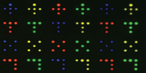 protein analysis