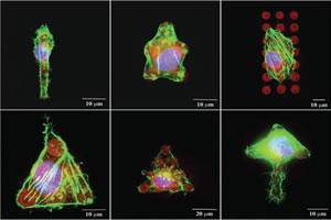 nanoarrays