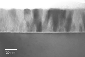 atomic layer deposition reactor